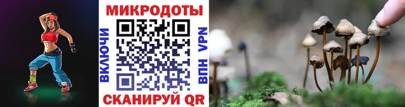 Псилоцибиновые грибы мухоморы  Купить где  Нестеров 