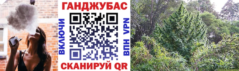 Марихуана MAZAR  Купить  Нестеров 